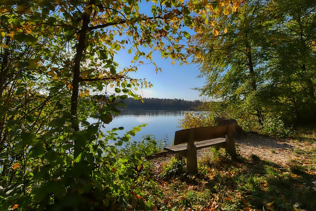 的背后坚持 的背后坚持