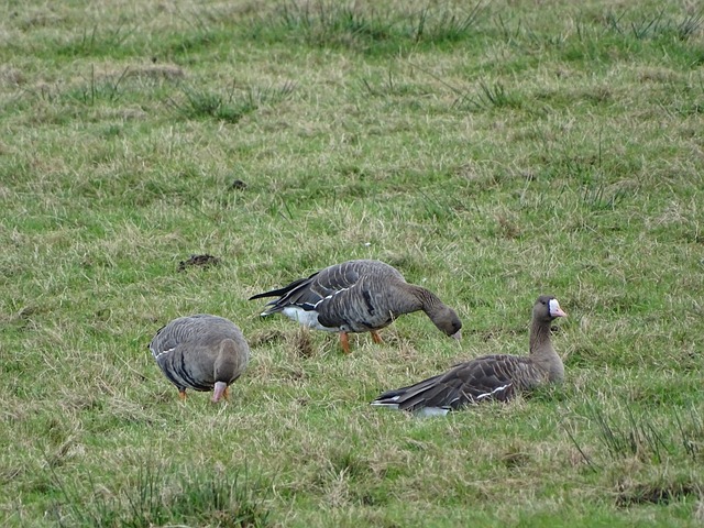尤其在应对 尤其在应对