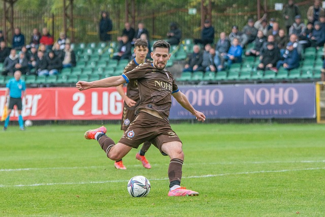 他们利用前 他们利用前