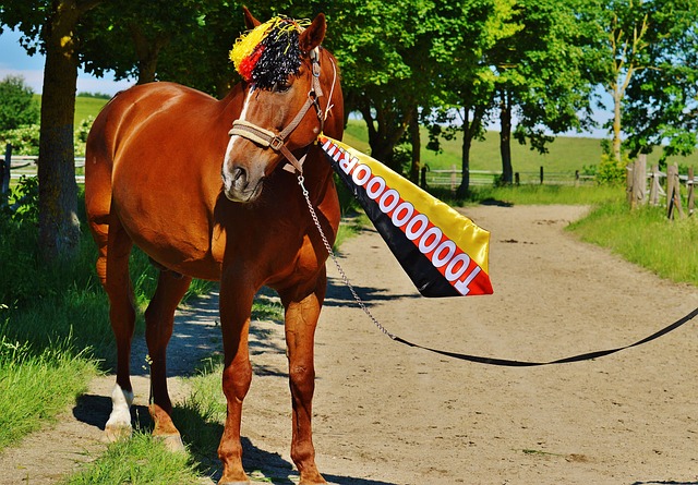 对于天津津 对于天津津