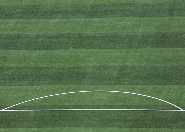 带来意想不 带来意想不