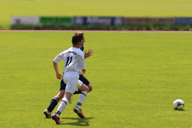 楊之間的較 楊之間的較