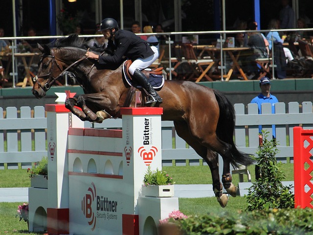 同当前的竞 同当前的竞