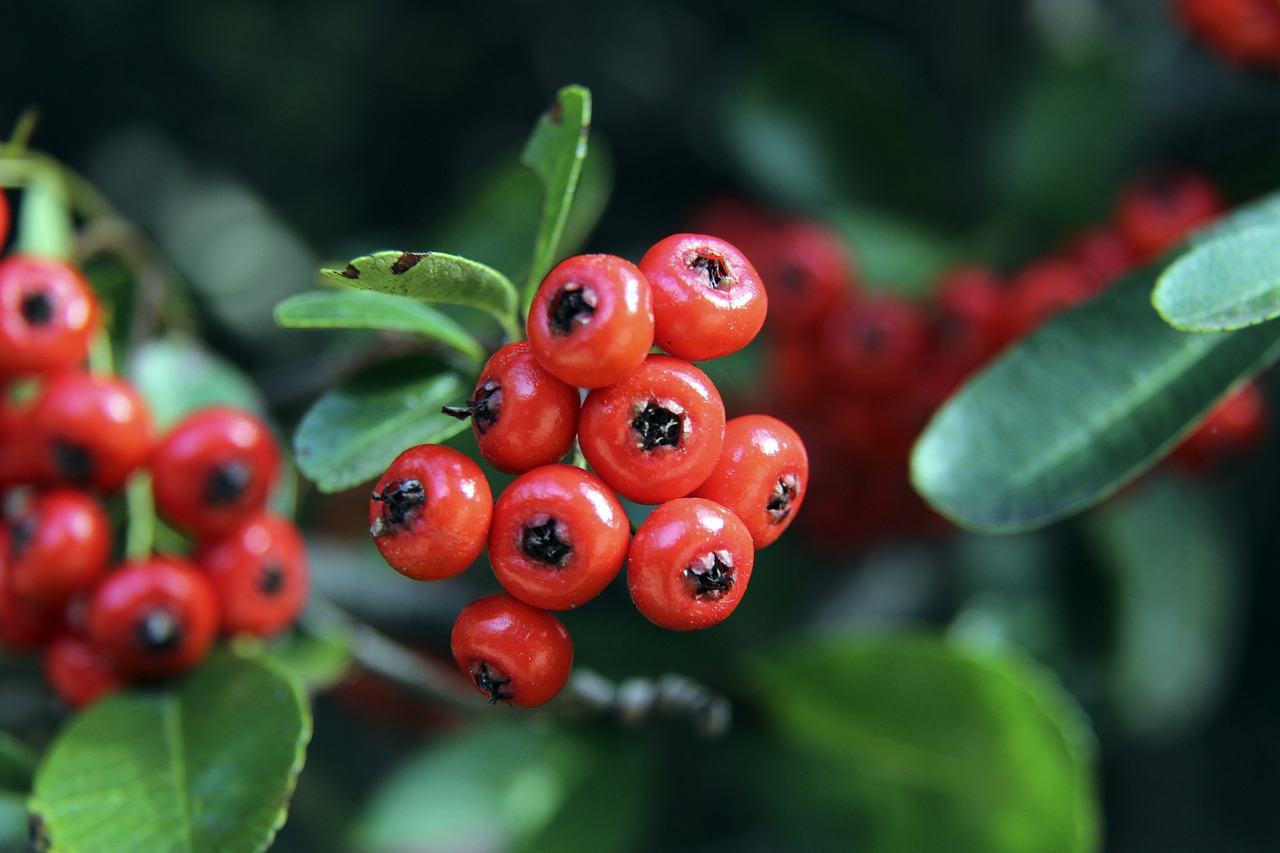 变得愈发活 变得愈发活