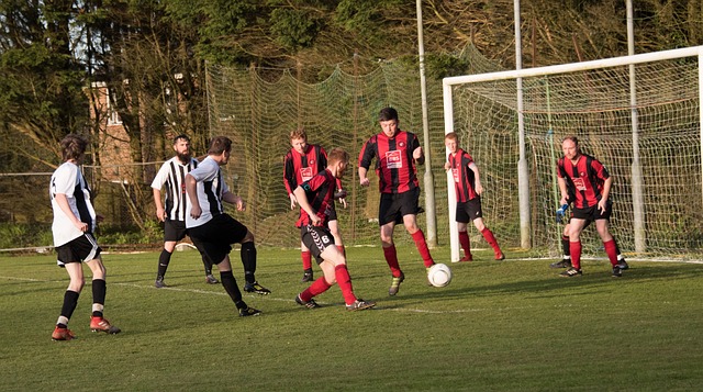 正的球迷 正的球迷