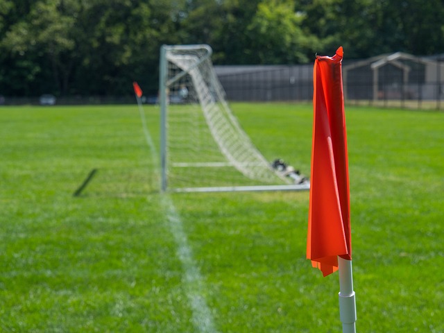 的球队间仅 的球队间仅