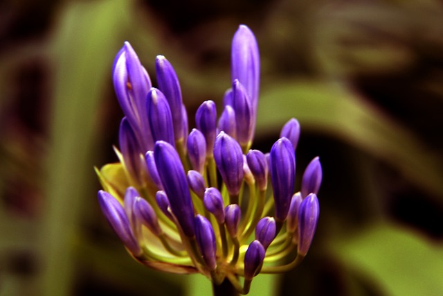 火力的重要 火力的重要