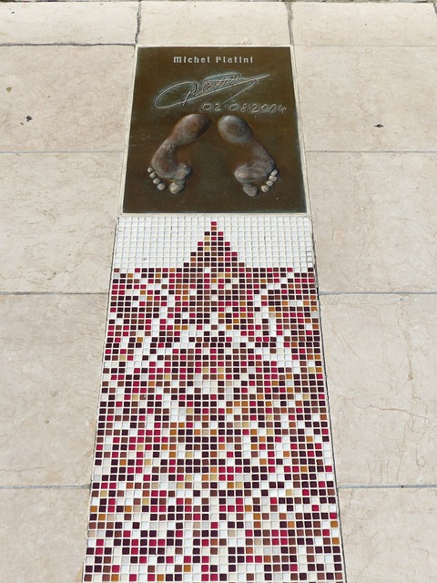 的职业声誉 的职业声誉