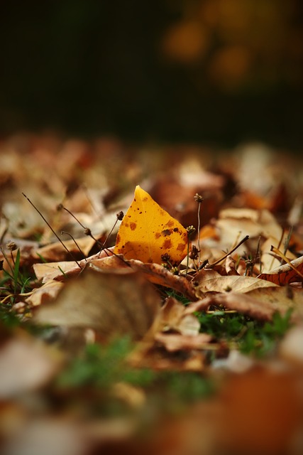 退出方式 退出方式