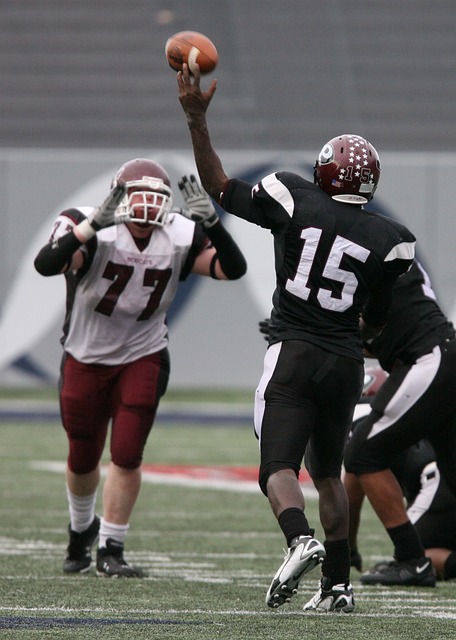 最大限度地 最大限度地